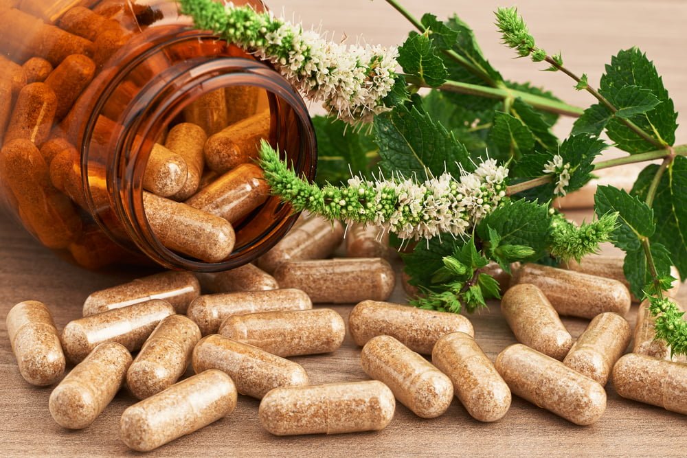 future scope of herbal medicine in the medical industry