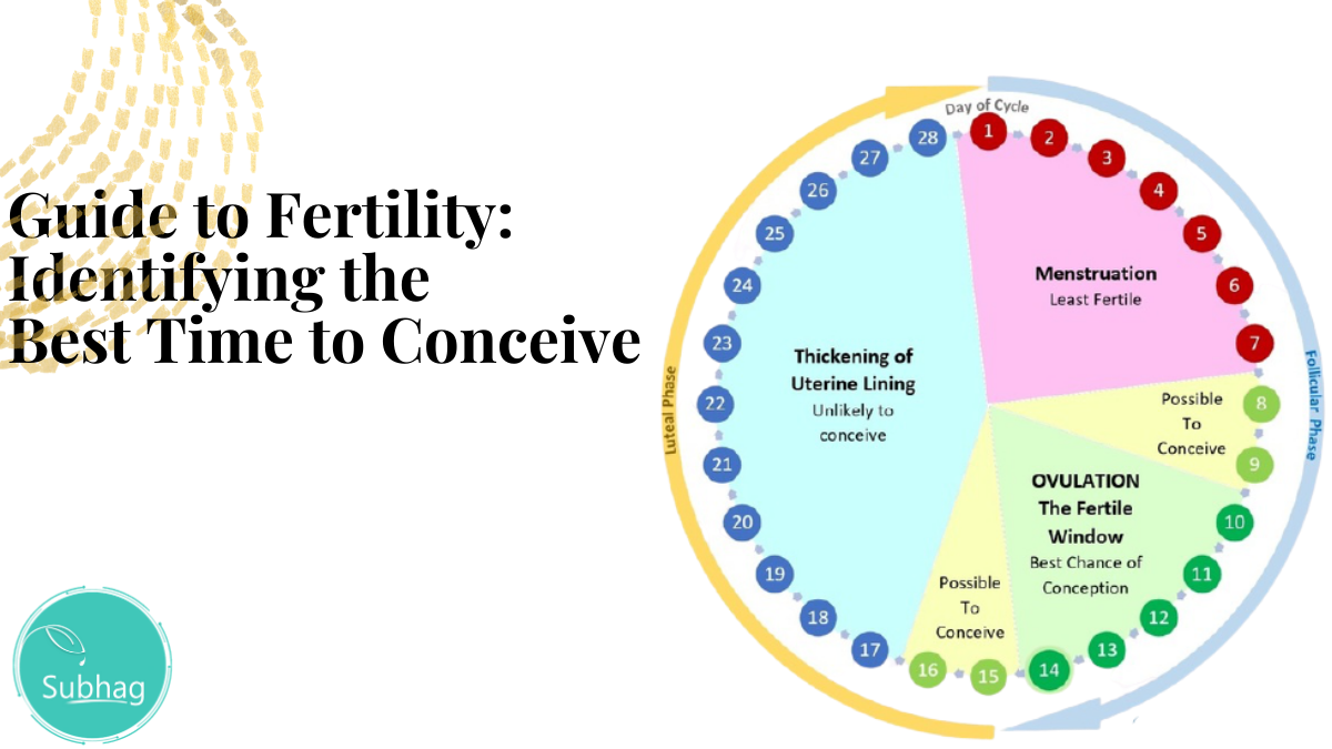 Guide to Fertility Identifying the Best Time to Conceive