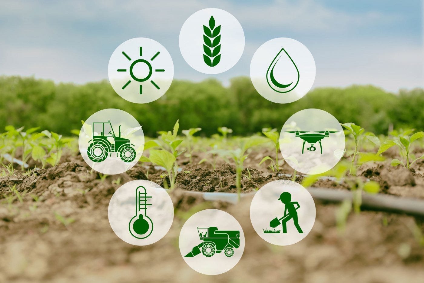 6 Agritech Startups Revolutionizing the Future of Agriculture in India