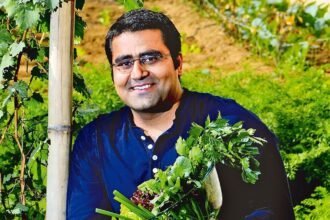 Salad Days Secures ₹30 Crore in Series A Funding to Fuel Expansion