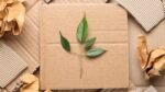 Sustainable Packaging Trends in the Food Industry: What Food Brands Need to Know