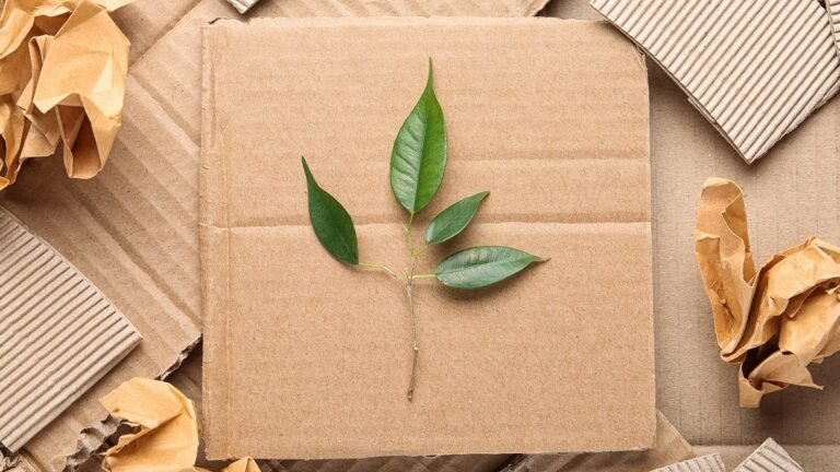 Sustainable Packaging Trends in the Food Industry: What Food Brands Need to Know