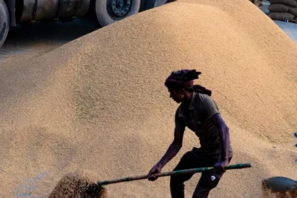 Philippines Eyes Indian, Thai Rice to Cut Vietnam Reliance