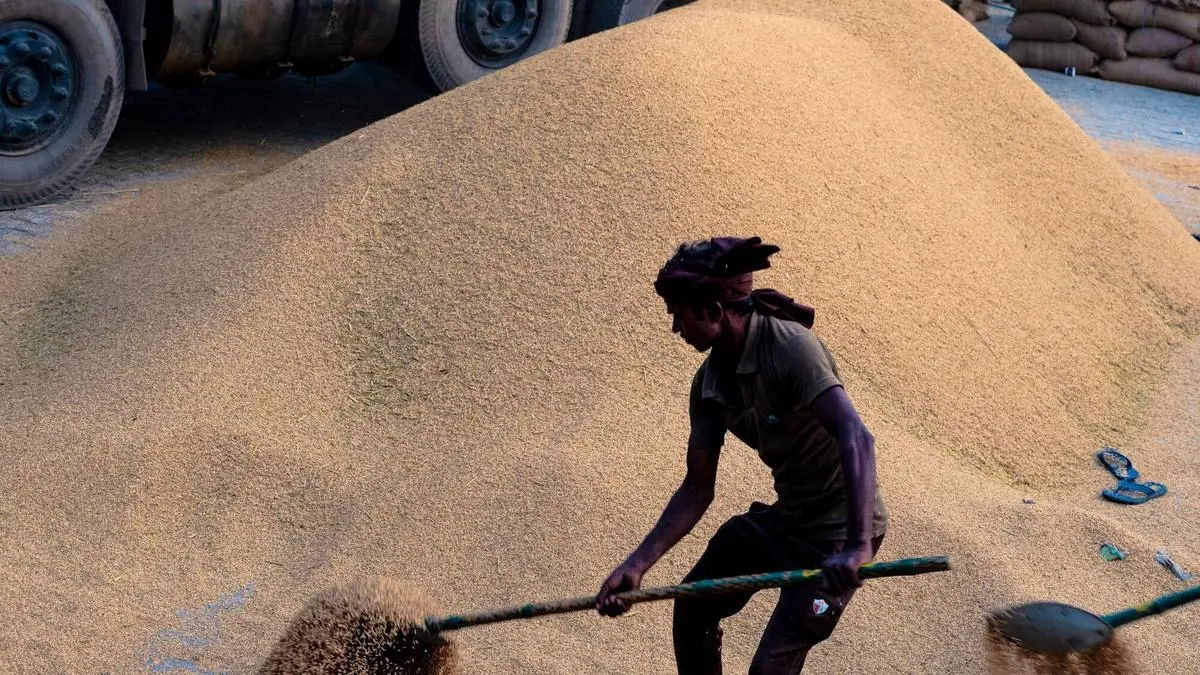 Philippines Eyes Indian, Thai Rice to Cut Vietnam Reliance